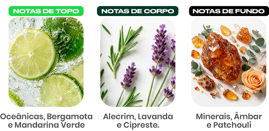 Notas olfativas